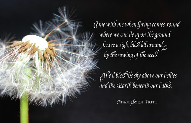 dandelion poster high res